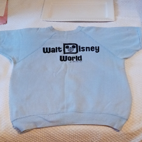 Walt Disney World Vintage Blue Sweatshirt with Classic Design  L(kids) 🌍🏝🎡🎢 - Picture 1 of 7